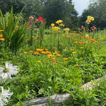 Lydia Tatil Evi Tehumardi