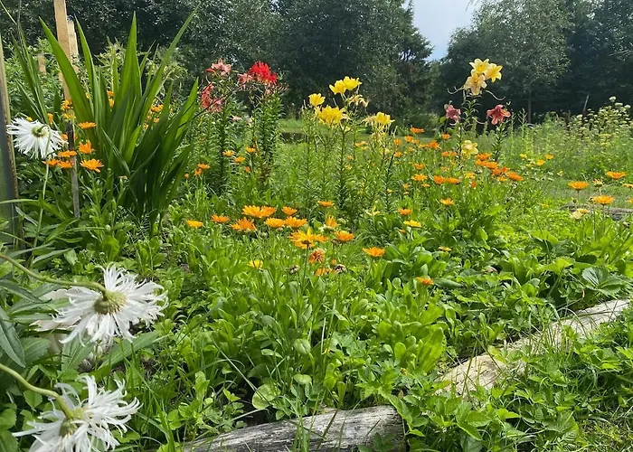 Lydia 펜션 Tehumardi